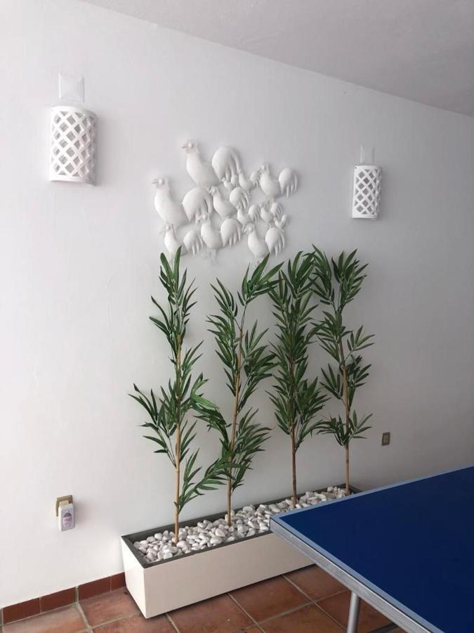 Ofir Beach House Bonanca Esposende Esterno foto