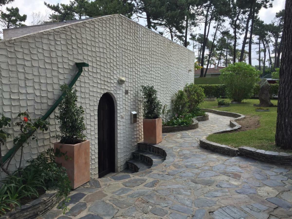 Ofir Beach House Bonanca Esposende Esterno foto
