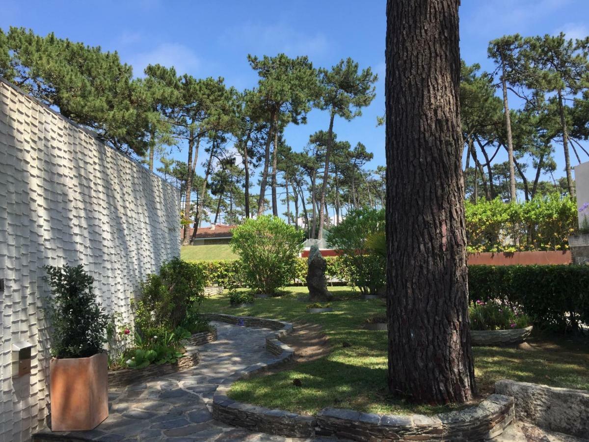 Ofir Beach House Bonanca Esposende Esterno foto